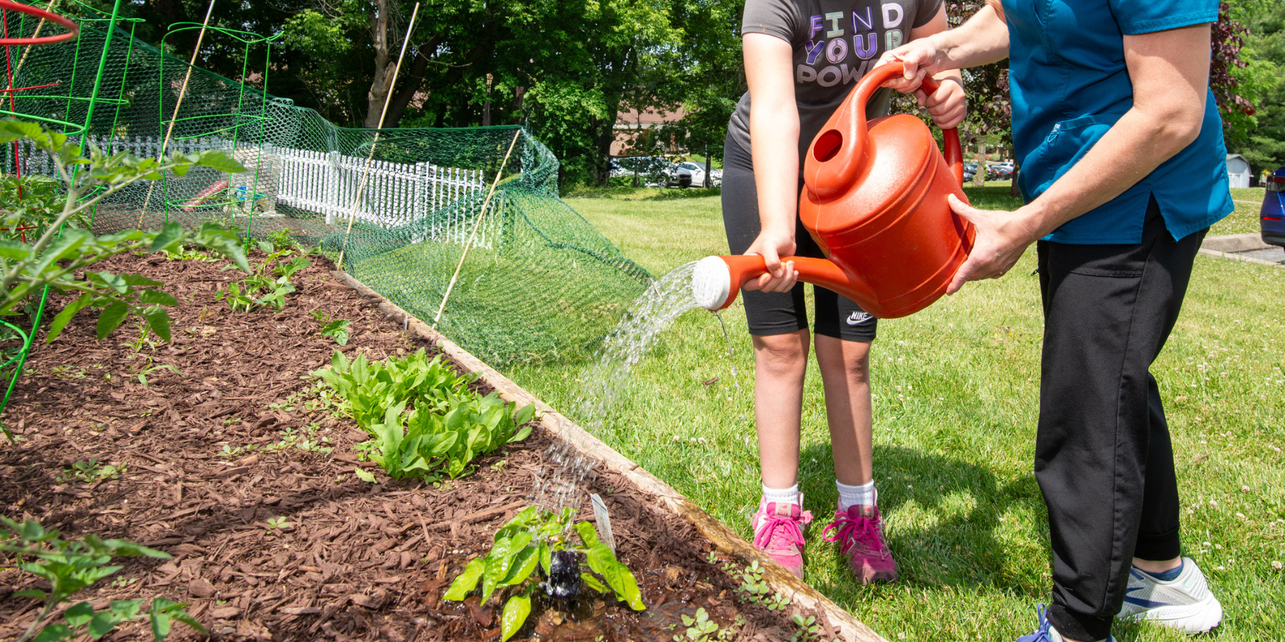 PT Tips for Gardening: Stay Safe and Enjoy Your Garden